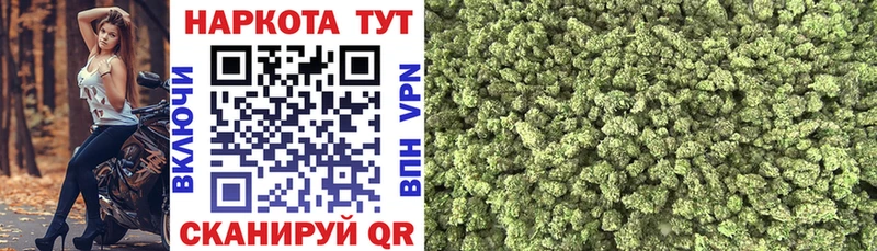 Названия наркотиков Кимовск MEGA как войти  NBOMe  ГАШИШ  A PVP 