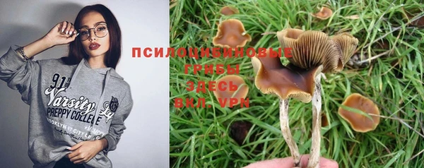 марки lsd Белоозёрский